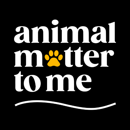 Animal Matter To Me